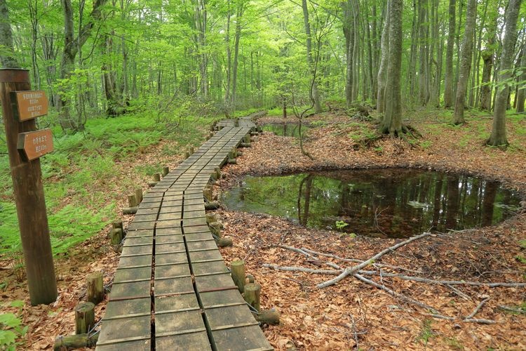 Tourist destination images of Gakudai Nature Observation and Education Forest(4)