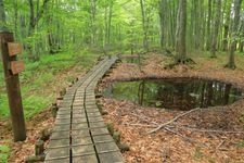 Tourist destination images of Gakudai Nature Observation and Education Forest(4)