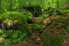 Tourist destination images of Gakudai Nature Observation and Education Forest(3)