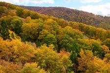 森吉山的觀光地圖片(4)