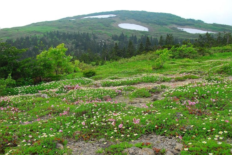 Mount Morigichi