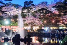 Tourist destination images of Senshu Park(8)