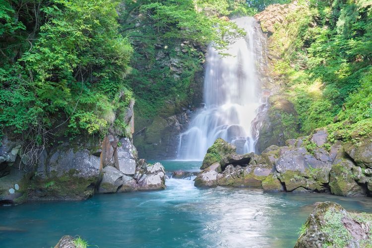 奈曽の白滝