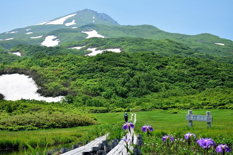 Harakawa-Ryugahara Marshland