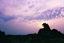 Tourist destination images of Godzilla Rock(2)