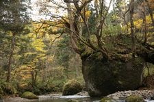 ネコバリ岩の観光地画像(2)