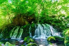 元滝伏流水の観光地画像(2)