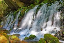 元滝伏流水の観光地画像(4)