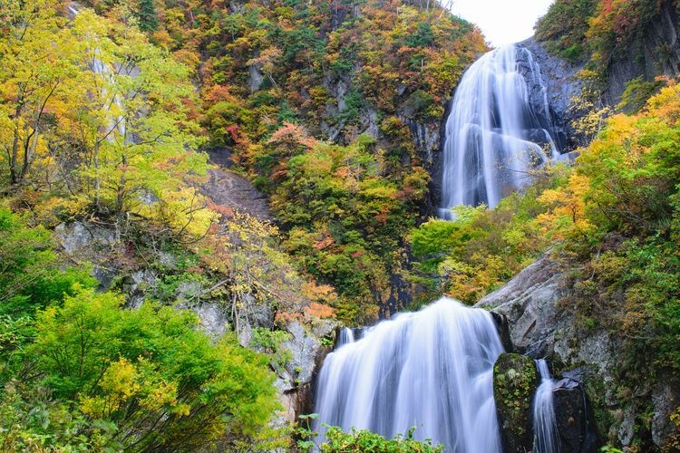 Yasunotaki Falls