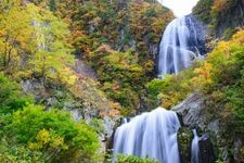 Tourist destination images of Yasunotaki Falls(1)