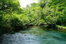 Tourist destination images of Shishiganabi Marsh(2)