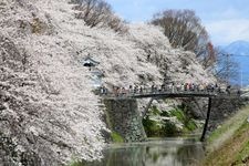 霞城公園（山形城）の観光地画像(3)