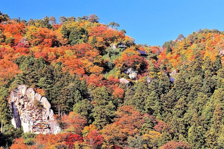 宝珠山立石寺（山寺）