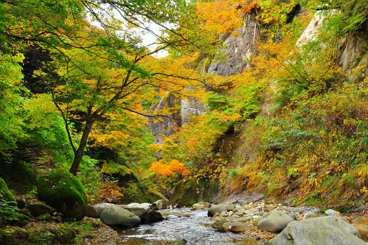 Tourist destination images of Omaeyama Momijigawa Gorge(2)