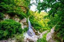 Tourist destination images of Omaeyama Momijigawa Gorge(3)