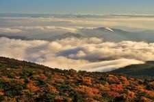 Tourist destination images of Zao Ropeway(5)