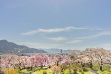 上山城（月岡公園）の観光地画像(4)