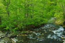 Tourist destination images of Tamagawa Gorge(4)