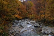 温身平的旅游景点图片(3)