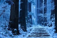 出羽神社（出羽三山神社）の観光地画像(8)