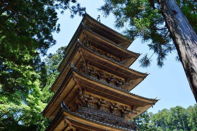 Tourist destination images of Ryuzensan Sotoshu Zenpoji Temple(5)