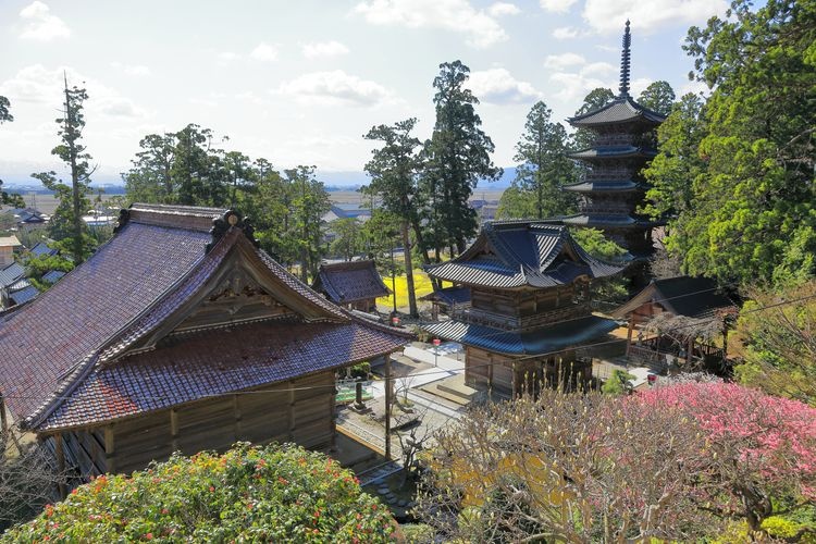 Tourist destination images of Ryuzensan Sotoshu Zenpoji Temple(3)