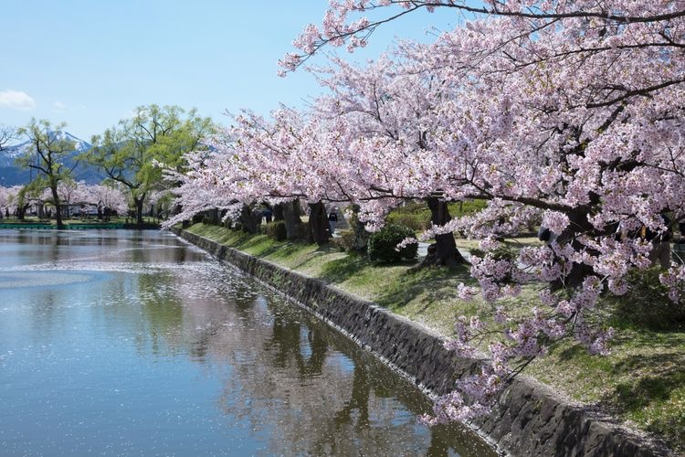 Tourist destination images of Tsuruoka Park (Taihokan)(2)