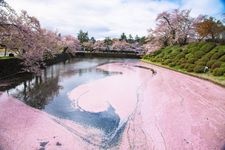 Tourist destination images of Tsuruoka Park (Taihokan)(1)