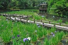 Tourist destination images of Tsuruoka Park (Taihokan)(2)