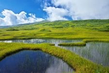 月山弥陀ヶ原湿原の観光地画像(3)