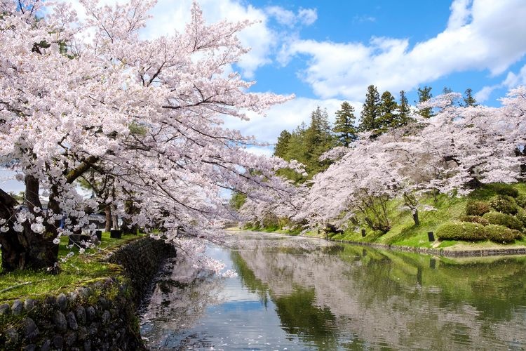 米沢城（松が岬公園）