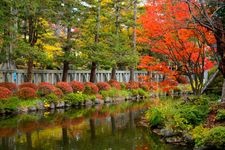 米沢城（松が岬公園）の観光地画像(5)