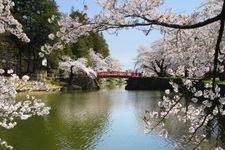 Tourist destination images of Uesugi Shrine(4)