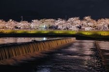 Tourist destination images of Magami-gasaki Sakura Line(1)