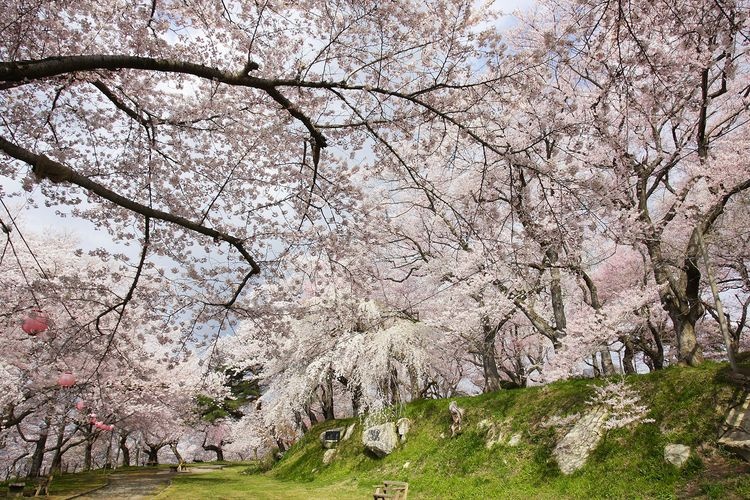 Eboshiyama Park