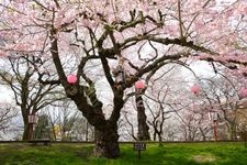 烏帽子山公園の観光地画像(2)