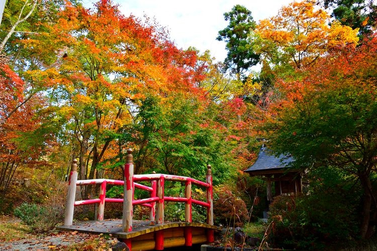 若松寺