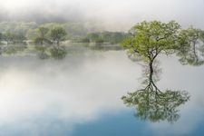白川湖的觀光地圖片(3)