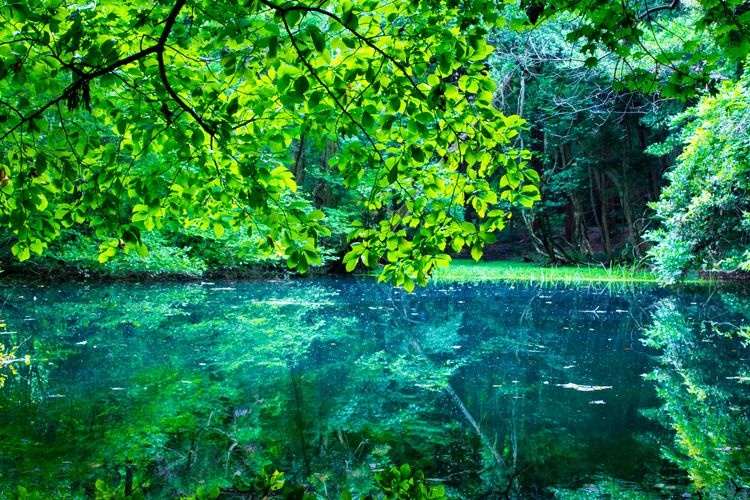 Tourist destination images of Maruikesama(2)
