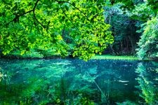 Tourist destination images of Maruikesama(2)
