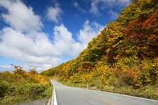 Tourist destination images of Zao Echo Line (Yamagata Prefecture Side)(2)