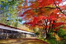 Tourist destination images of Fukuman Kokuzou Bosatsu Enzoji Temple (Yanaiizu Kannon)(1)