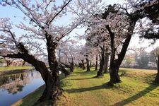 鶴ヶ城（会津若松城）の観光地画像(8)