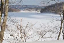 羽鳥湖の観光地画像(3)