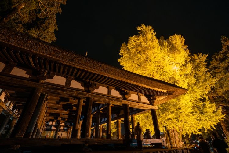 Tourist destination images of Shinmiya Kumano Shrine(2)
