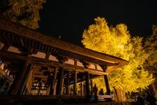 Tourist destination images of Shinmiya Kumano Shrine(2)