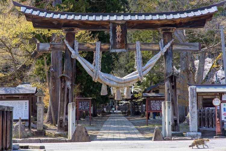 Tourist destination images of Shinmiya Kumano Shrine(4)