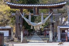 Tourist destination images of Shinmiya Kumano Shrine(4)