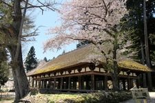 Tourist destination images of Shinmiya Kumano Shrine(1)