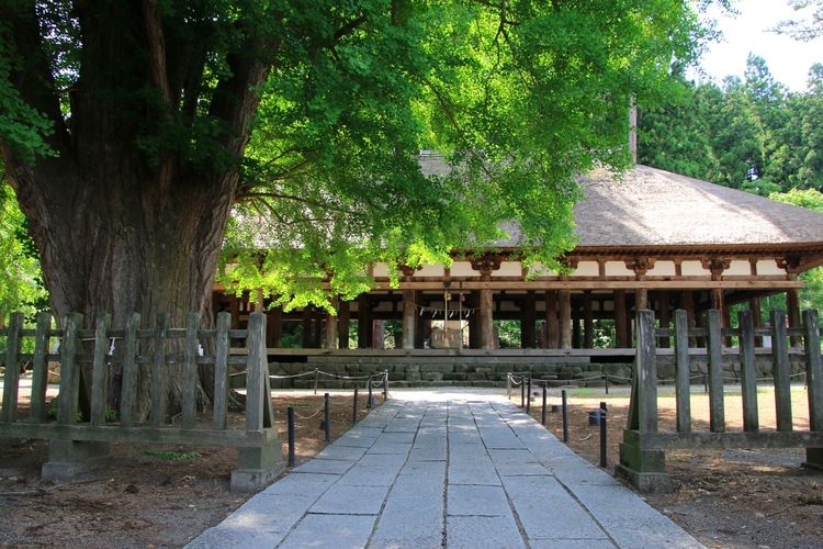 Tourist destination images of Shinmiya Kumano Shrine(3)
